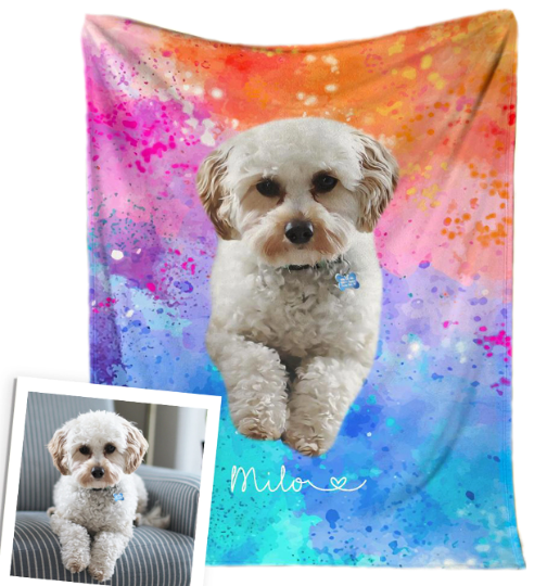 Custom Pet Blankets: A Purr-fect Way to Spoil Your Furry Friend!