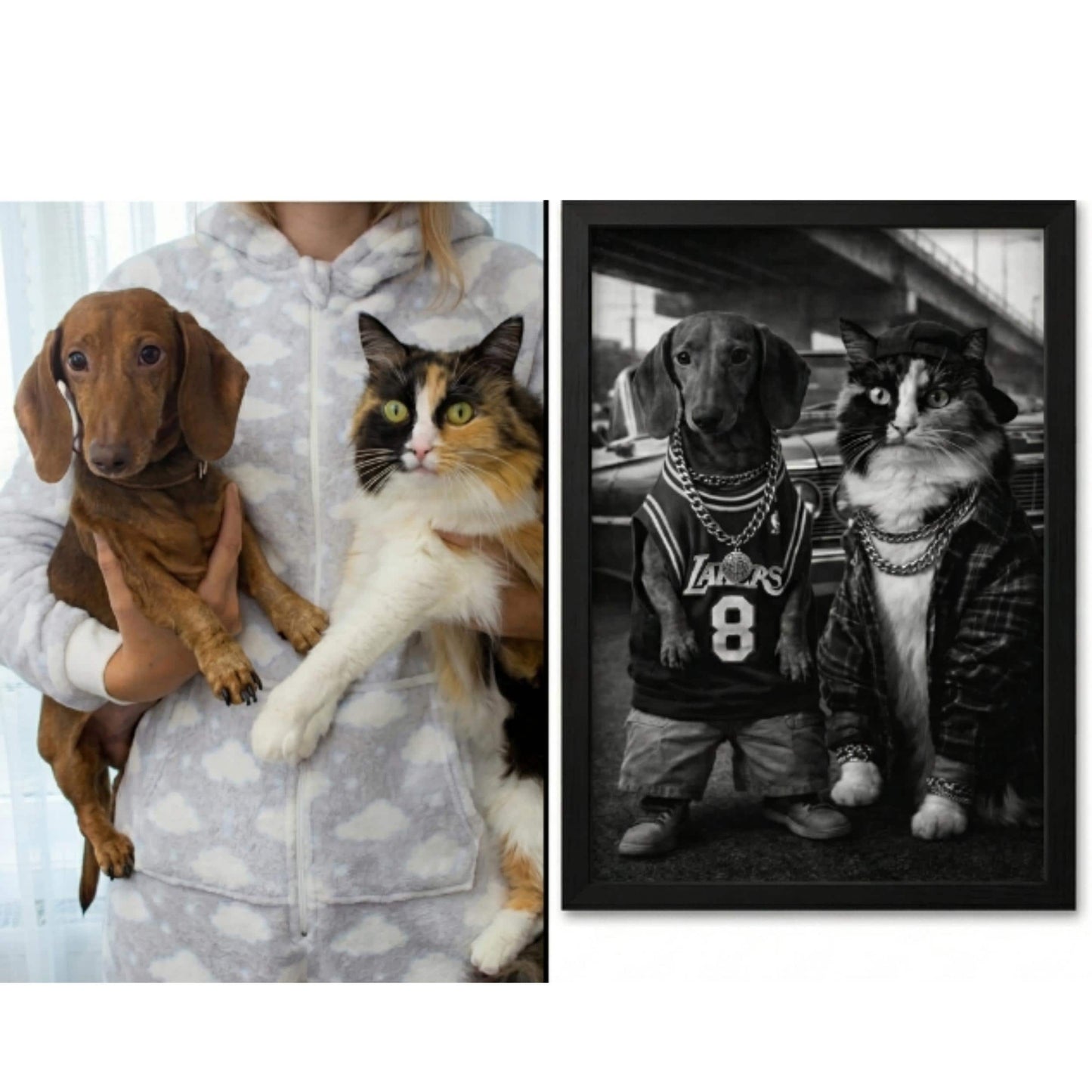 Rap Star Dog Cat Portrait, 90s Hip Hop Canvas, Framed Poster, Funny Retro Pet Gift
