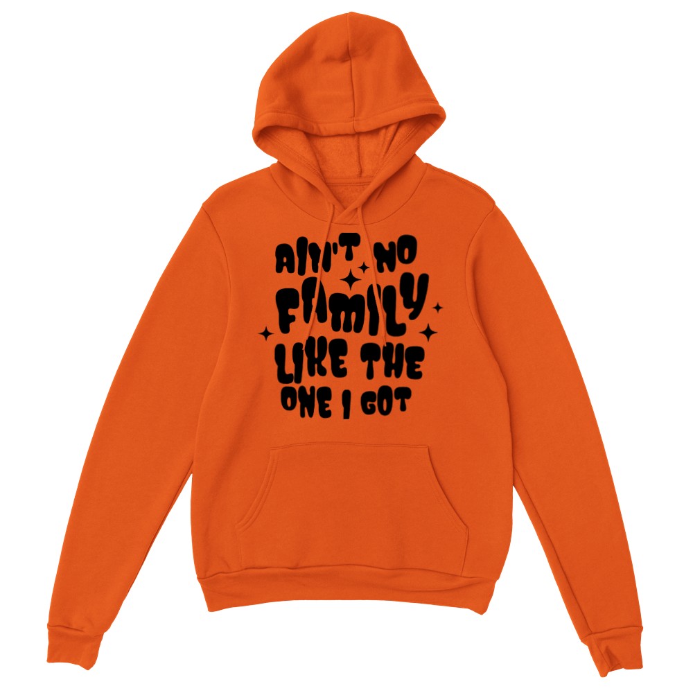 Great Design For Family Hoodie, Ain't No Like The One I Got Graphic